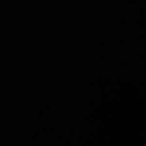 Meet your Posher, Ann